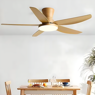Lustre Ventilateur 5 Pales