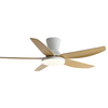 Lustre Ventilateur 5 Pales