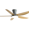 Lustre Ventilateur 5 Pales