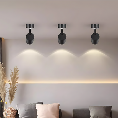 Lustre Spot Noir