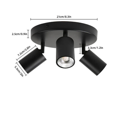 Spot Plafond Orientable