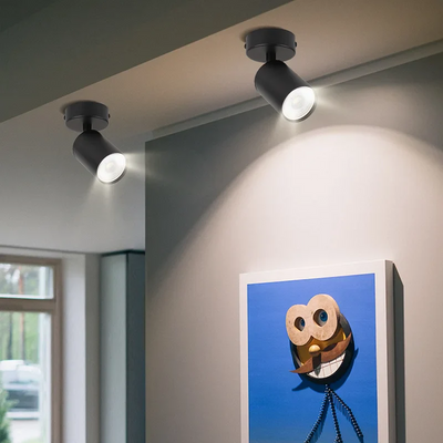 Spot Plafond Orientable