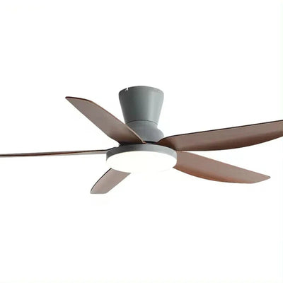 Lustre Ventilateur 5 Pales