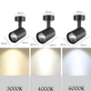 Lustre Spot Noir