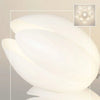 Lustre Blanc Design