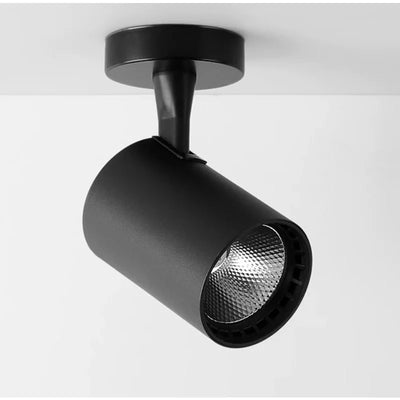 Lustre Spot Noir