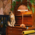 Lampe Champignon Rose